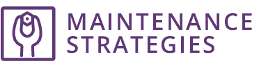 Maintenance Strategies